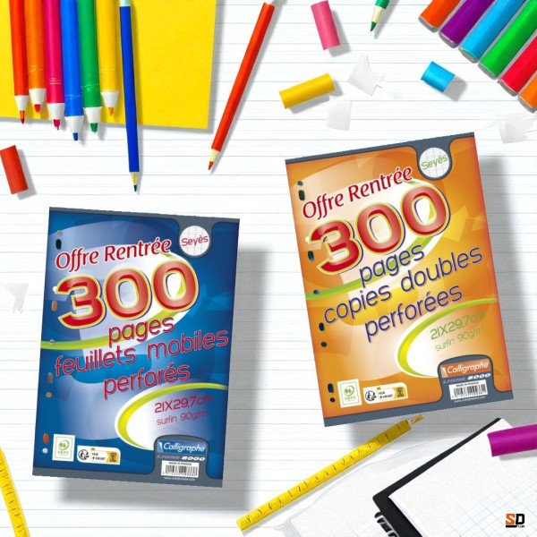 Copies doubles - A4 - Grands carreaux - Perforées - 300 feuilles - Clairefontaine