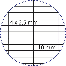 Copies simples - Blanche - Grand carreaux - A4 - 50 feuilles - Déficients visuels - Clairefontaine