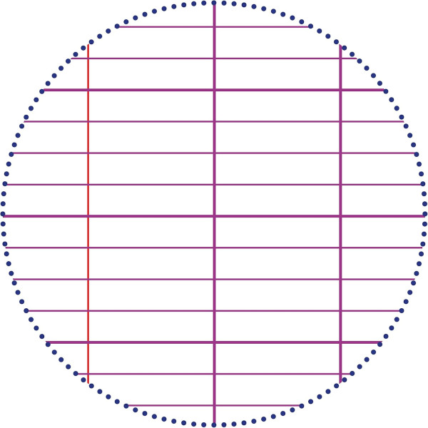 Copies simples - Blanche - Grand carreaux - A4 - 100 feuilles - Clairefontaine