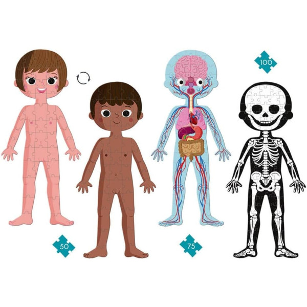 4 puzzles - Géant - Educatif - Le corps humain - 50,75 et 100 pièces - Dès 5 ans - Janod