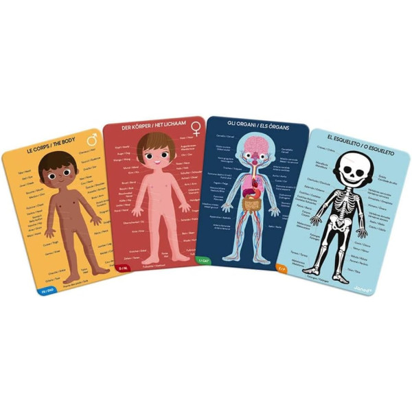 4 puzzles - Géant - Educatif - Le corps humain - 50,75 et 100 pièces - Dès 5 ans - Janod
