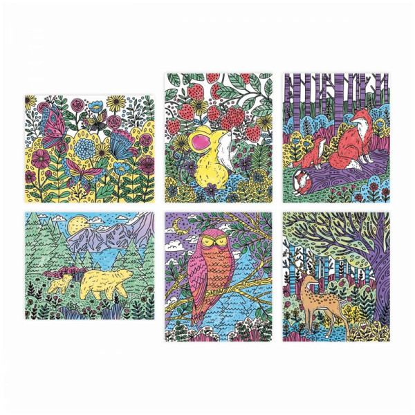 Peinture magique - 6 tableaux à peindre - La Forêt - Dès 6 ans - Activités créatives - Janod
