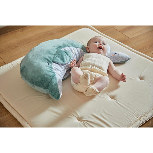 Peluche - Evolutive - Dauphin - Turquoise - 60cm - Apaisante, douce - Dès la naissance - Kaloo