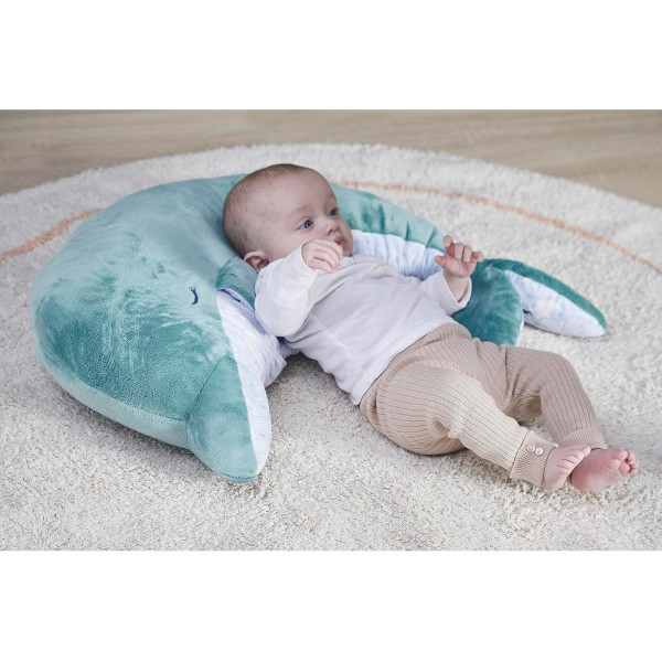 Peluche - Evolutive - Dauphin - Turquoise - 60cm - Apaisante, douce - Dès la naissance - Kaloo