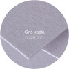 Cartes - 8,2x12,8cm - 210g - Pollen - Gris koala - 25 unités - Clairefontaine