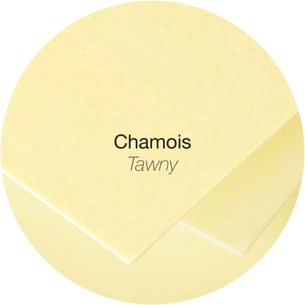 Cartes - 8,2x12,8cm - 210g - Pollen - Chamois - 25 unités - Clairefontaine