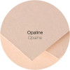 Cartes - 8,2x12,8cm - 210g - Pollen - Opaline - 25 unités - Clairefontaine