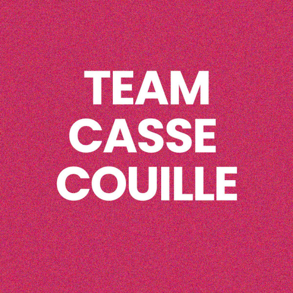Chaussettes - Femme - Rose avec paillettes - Team casse couille - Taille 36/42 - Humour - Cadeau