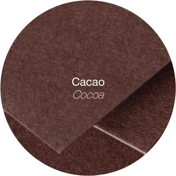 Cartes - 8,2x12,8cm - 210g - Pollen - Cacao - 25 unités - Clairefontaine