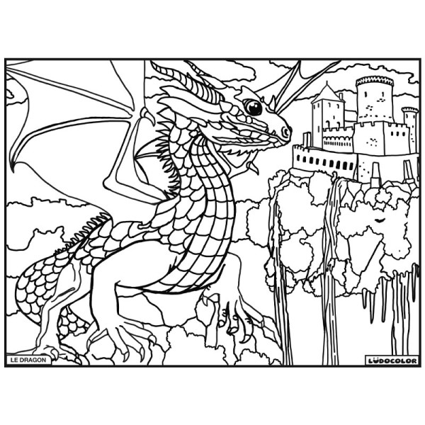 photo-Coloriage - Dragon - Tableau à colorier - Avec contours velours noir - Dès 3 ans