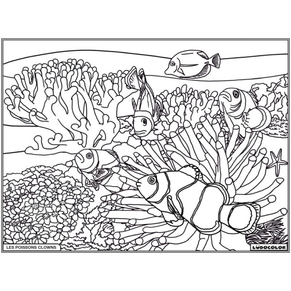 Coloriage - Poissons clowns - Tableau à colorier - Avec contours velours noir - Dès 3 ans