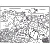 Coloriage - Poissons clowns - Tableau à colorier - Avec contours velours noir - Dès 3 ans