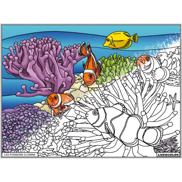 Coloriage - Poissons clowns - Tableau à colorier - Avec contours velours noir - Dès 3 ans