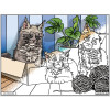 Coloriage - Chatons - Tableau à colorier - Avec contours velours noir - Dès 3 ans