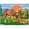 photo-Coloriage - Chevaux - Tableau à colorier - Avec contours velours noir - Dès 3 ans