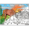 Coloriage - Chevaux - Tableau à colorier - Avec contours velours noir - Dès 3 ans