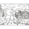 Coloriage - Chevaux - Tableau à colorier - Avec contours velours noir - Dès 3 ans