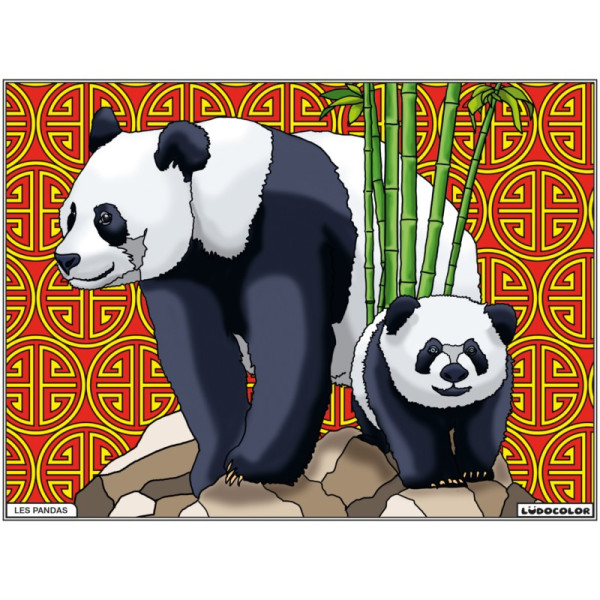 photo-Coloriage - Pandas - Tableau à colorier - Avec contours velours noir - Dès 3 ans