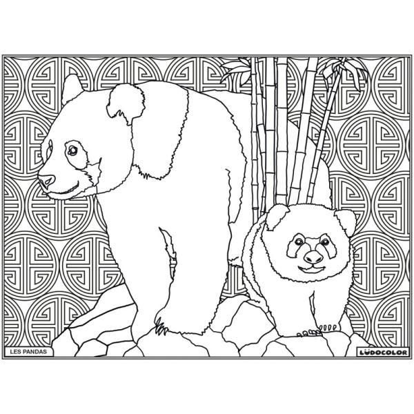 Coloriage - Pandas - Tableau à colorier - Avec contours velours noir - Dès 3 ans