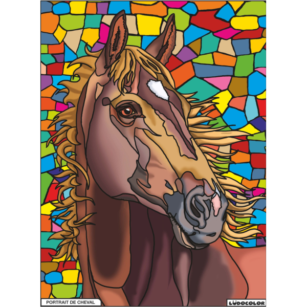 photo-Coloriage - Cheval - Tableau à colorier - Avec contours velours noir - Dès 3 ans