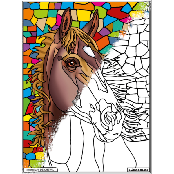 Coloriage - Cheval - Tableau à colorier - Avec contours velours noir - Dès 3 ans