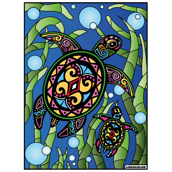 photo-Coloriage - Tortue - Tableau à colorier - Avec contours velours noir - Dès 3 ans