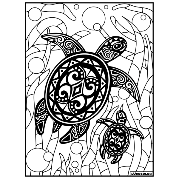 Coloriage - Tortue - Tableau à colorier - Avec contours velours noir - Dès 3 ans