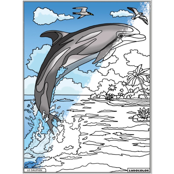 Coloriage - Dauphin - Tableau à colorier - Avec contours velours noir - Dès 3 ans