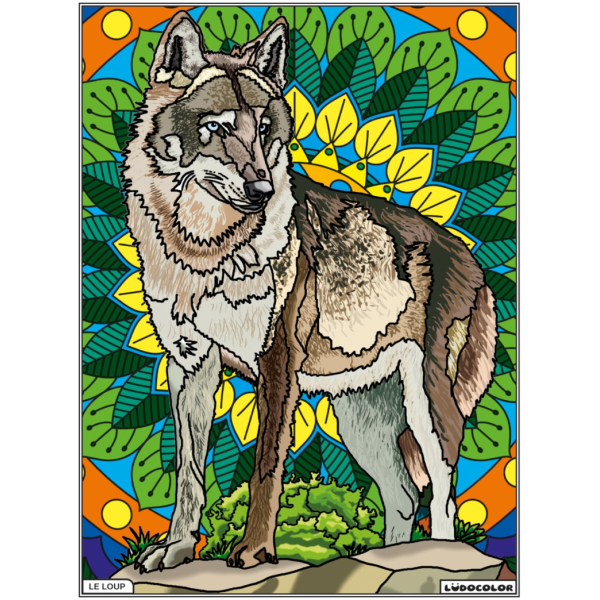 photo-Coloriage - Loup - Tableau à colorier - Avec contours velours noir - Dès 3 ans