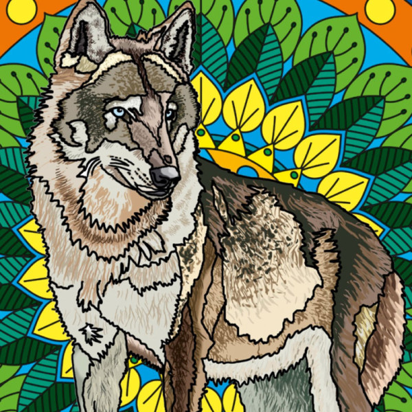 Coloriage - Loup - Tableau à colorier - Avec contours velours noir - Dès 3 ans