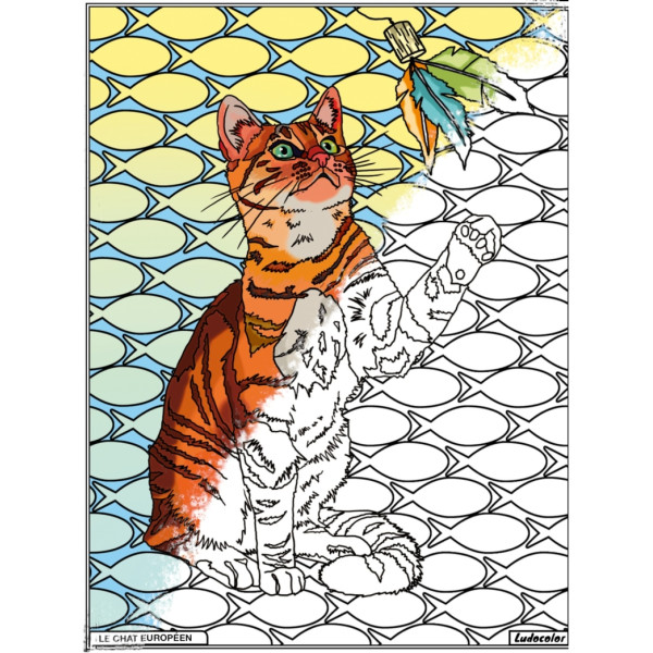 Coloriage - Chat - Tableau à colorier - Avec contours velours noir - Dès 3 ans