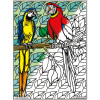 Coloriage - Perroquets - Tableau à colorier - Avec contours velours noir - Dès 3 ans