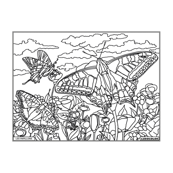 Coloriage - Papillons - Tableau à colorier - Avec contours velours noir - Dès 3 ans