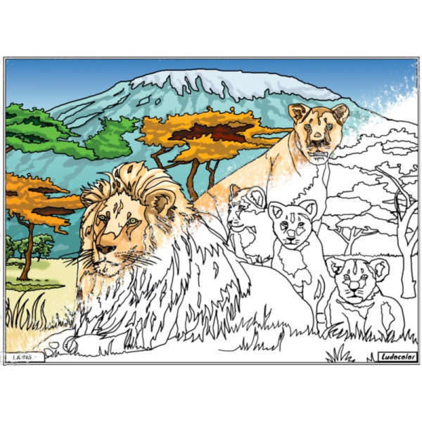 Coloriage - Lions - Tableau à colorier - Avec contours velours noir - Dès 3 ans
