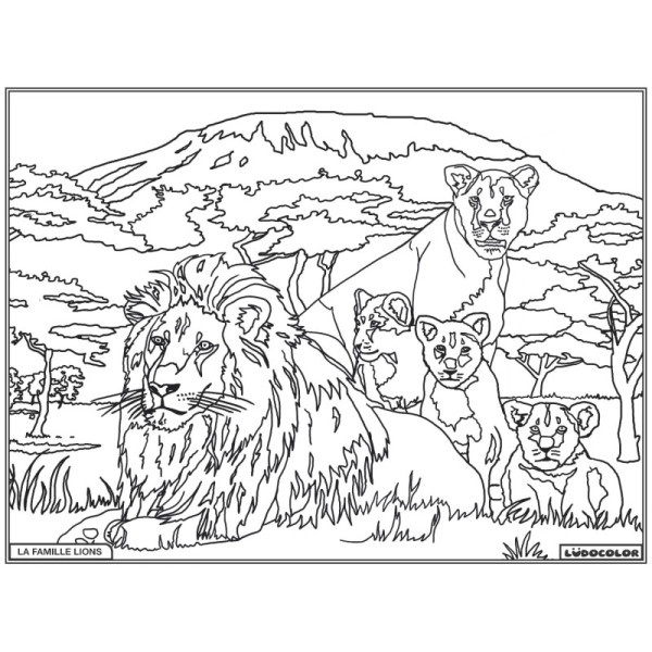 Coloriage - Lions - Tableau à colorier - Avec contours velours noir - Dès 3 ans
