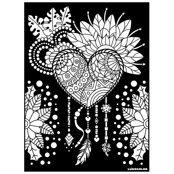 photo-Coloriage - Attrape rêve - Tableau à colorier - Avec contours velours noir - Dès 3 ans