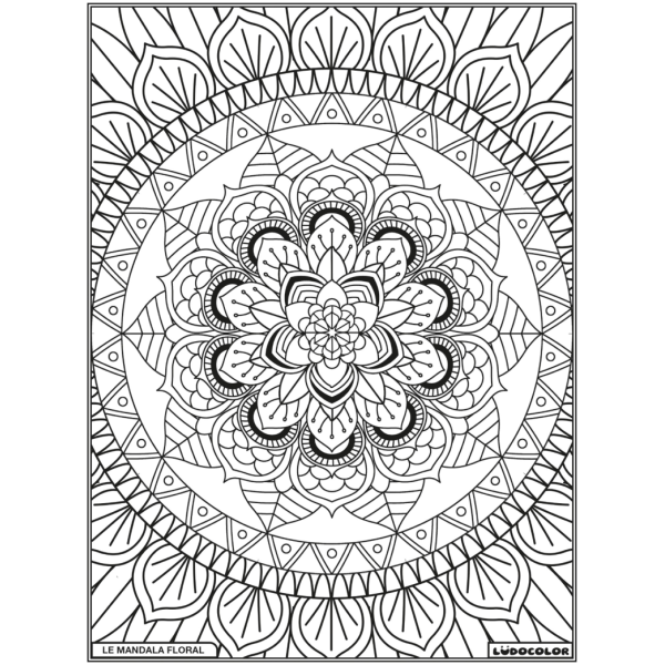 Coloriage - Mandala floral - Tableau à colorier - Avec contours velours noir - Dès 3 ans