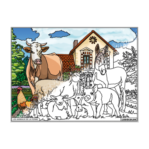 Coloriage - Animaux de la ferme - Tableau à colorier - Avec contours velours noir - Dès 3 ans