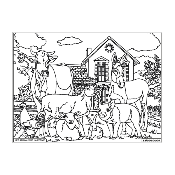 Coloriage - Animaux de la ferme - Tableau à colorier - Avec contours velours noir - Dès 3 ans