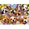 Puzzle - Animaux - Chiens et chiots - Selfie - 1000 pièces - Dès 14 ans - Educa