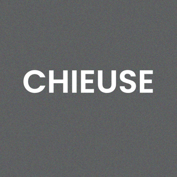 Chaussettes - Femme - Gris avec paillettes - Chieuse - Taille 36/42 - Humour - Cadeau