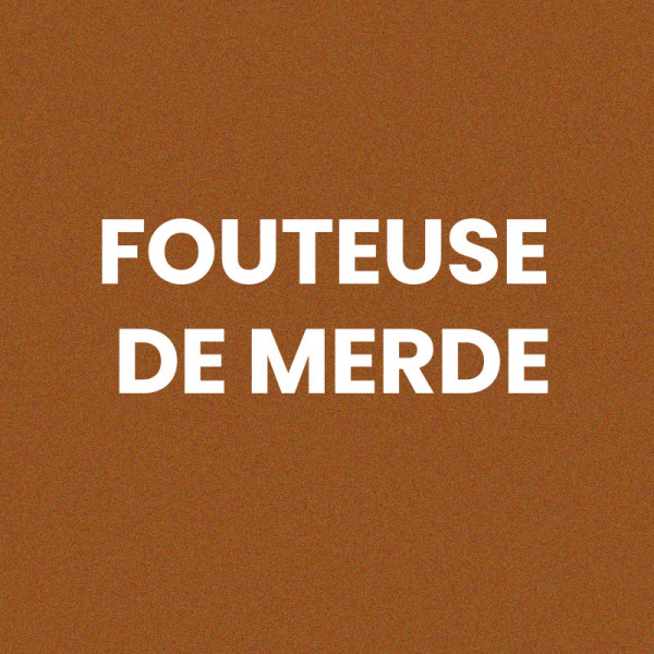 Chaussettes - Femme - Marron avec paillettes - Fouteuse de merde - Taille 36/42 - Humour - Cadeau