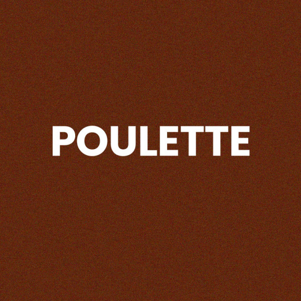 Chaussettes - Femme - Marron avec paillettes - Poulette - Taille 36/42 - Humour - Cadeau