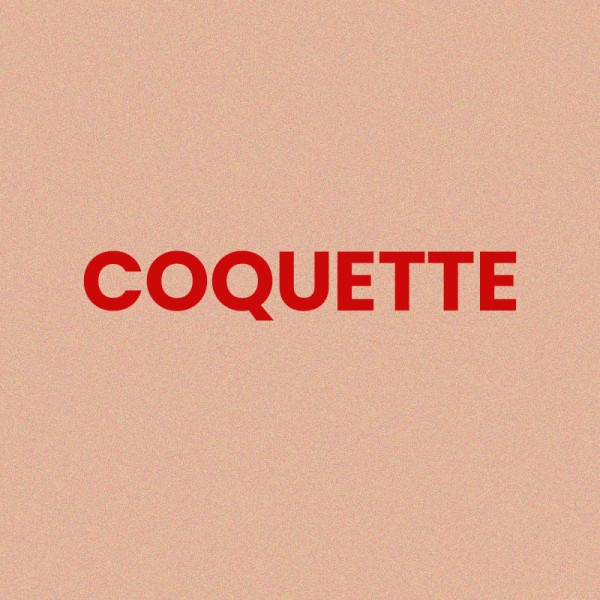 Chaussettes - Femme - Rose avec paillettes - Coquette - Taille 36/42 - Humour - Cadeau