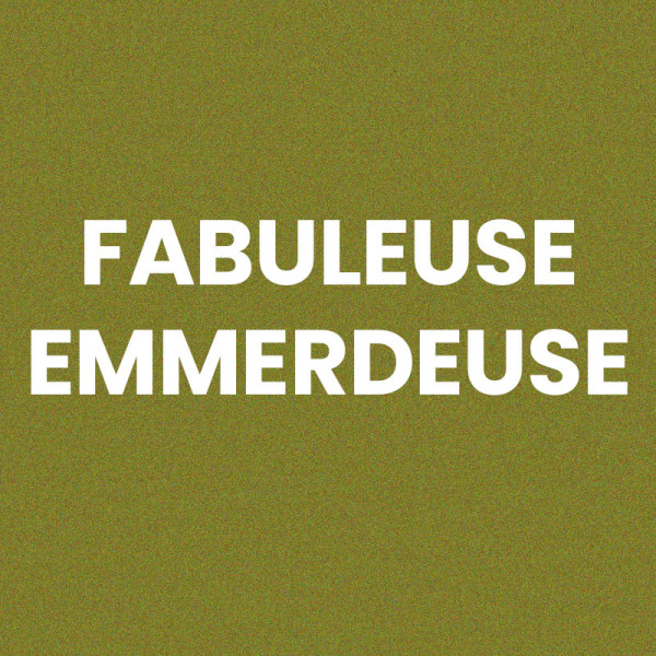 Chaussettes - Femme - Vert avec paillettes - Fabuleuse emmerdeuse - Taille 36/42 - Humour - Cadeau