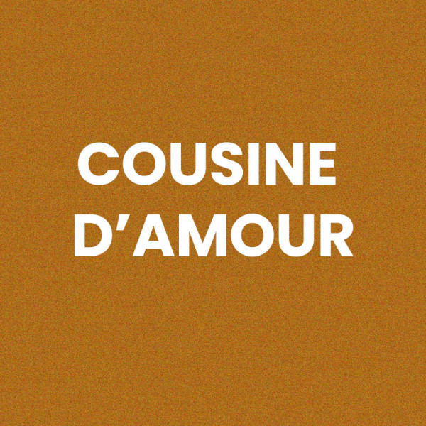 Chaussettes - Femme - Marron avec paillettes - Cousine d'amour - Taille 36/42 - Humour - Cadeau