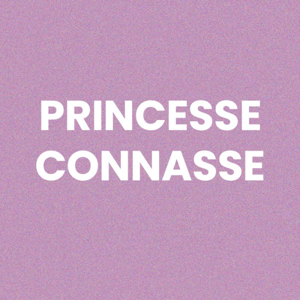 Chaussettes - Femme - Violet avec paillettes - Princesse connasse - Taille 36/42 - Humour - Cadeau