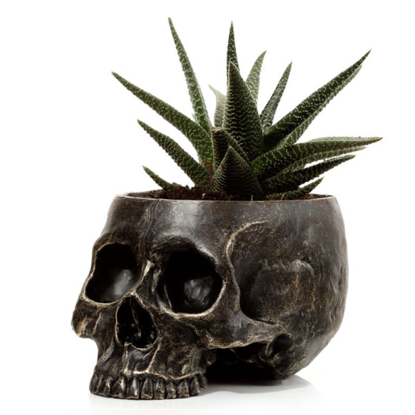 Vase - Pot pour plante - Forme de crâne - 10,5x12,5x19,5cm - Décoration originale