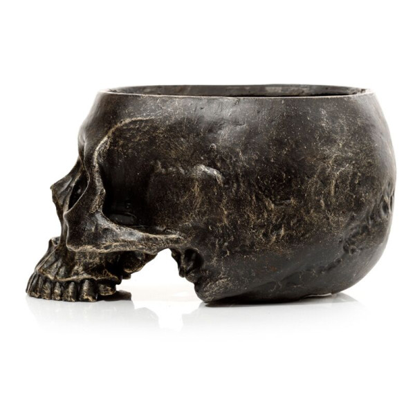 Vase - Pot pour plante - Forme de crâne - 10,5x12,5x19,5cm - Décoration originale
