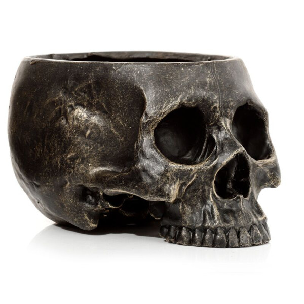 Vase - Pot pour plante - Forme de crâne - 10,5x12,5x19,5cm - Décoration originale
